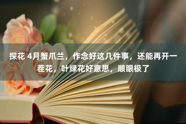 探花 4月蟹爪兰，作念好这几件事，还能再开一茬花，叶绿花好意思，顺眼极了