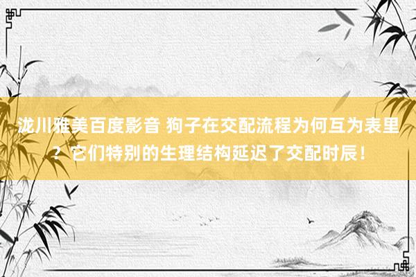 泷川雅美百度影音 狗子在交配流程为何互为表里？它们特别的生理结构延迟了交配时辰！