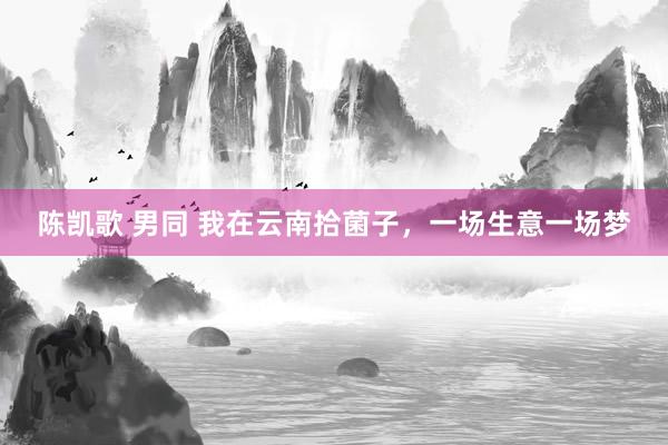 陈凯歌 男同 我在云南拾菌子，一场生意一场梦